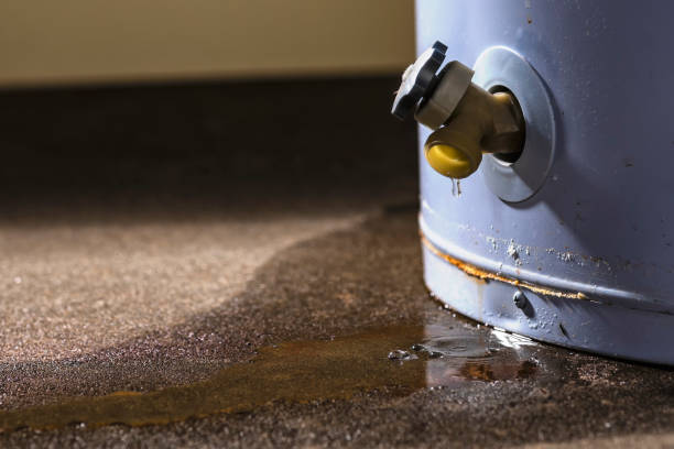 Best Basement water damage restoration  in West New York, NJ