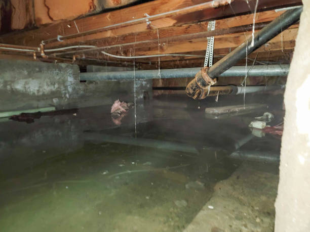 Best Sewage cleanup and water damage restoration  in West New York, NJ