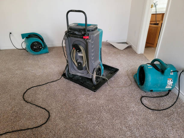Best 24/7 water damage repair  in West New York, NJ