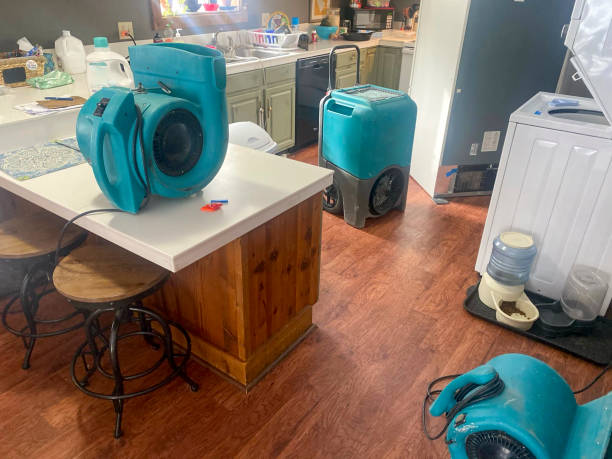 Best Sewage cleanup and water damage restoration  in West New York, NJ