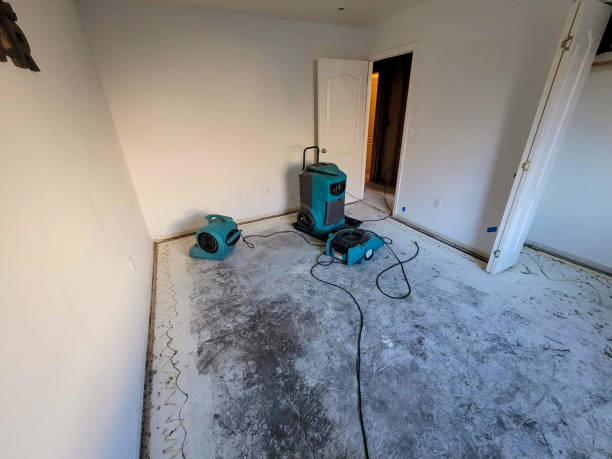 Best Commercial water damage restoration  in West New York, NJ