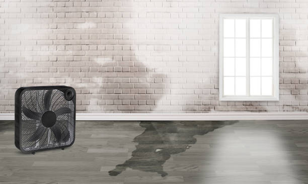 Sewage cleanup and water damage restoration in NJ