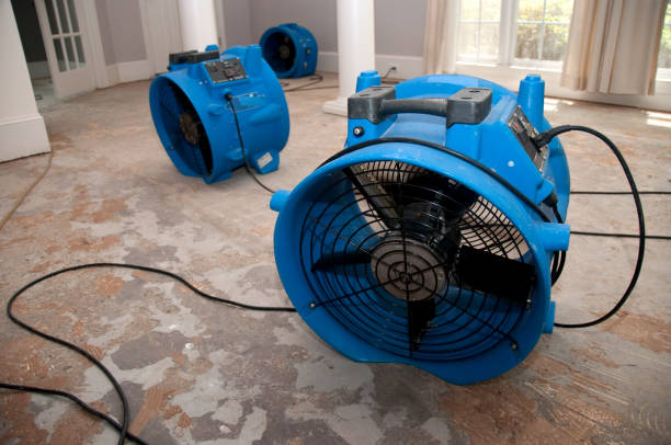 Best Water damage cleanup near me  in West New York, NJ