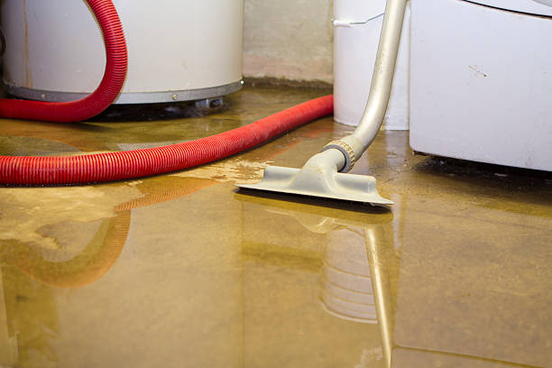  West New York, NJ Water damage restoration Pros