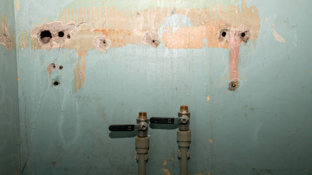 Best Flooded house restoration  in West New York, NJ