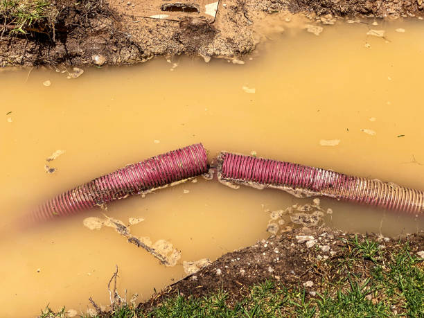 Best Local water damage restoration  in West New York, NJ