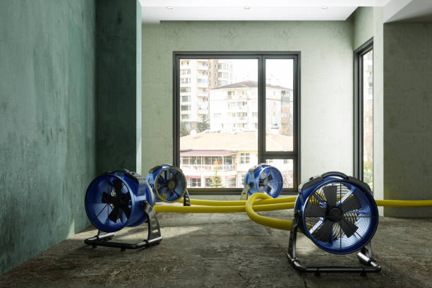 Best Basement water damage restoration  in West New York, NJ