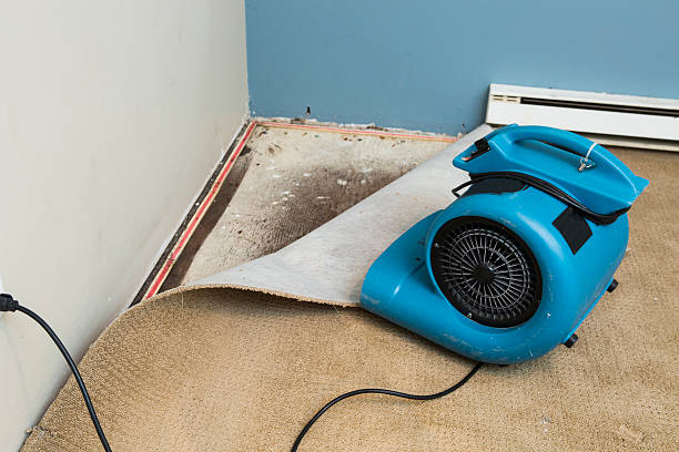Best Emergency water damage restoration  in West New York, NJ